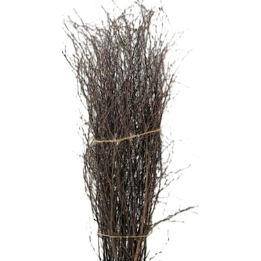 Bushy Birch Bundle 6'H