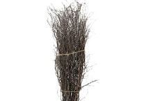 dwsk brown grasses sticks greens   