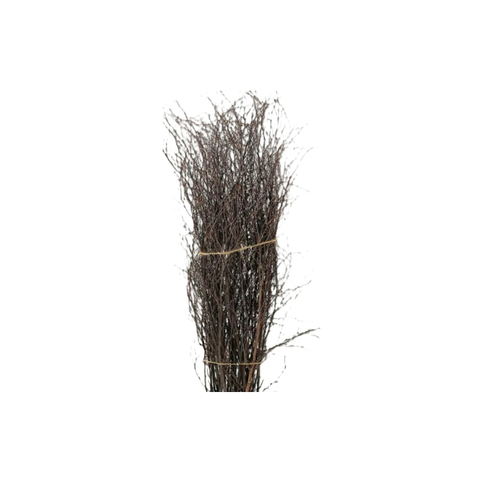 dwsk brown grasses sticks greens   