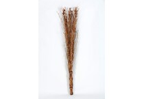 dwsk brown grasses sticks greens   