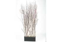 dwsk brown trees   