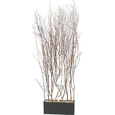 Birch Tree Branches Screen 42"W x 78"H
