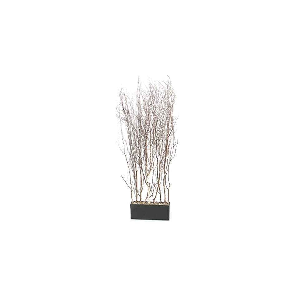 dwsk brown trees   