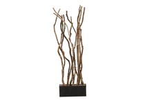 dwsk brown trees   