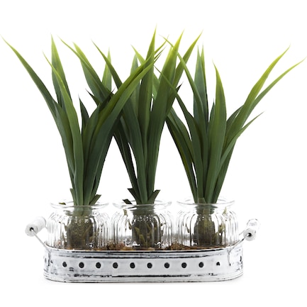 Lily Grass in 3 Glass Jars and Metal Tray 18"W x 12.5"H