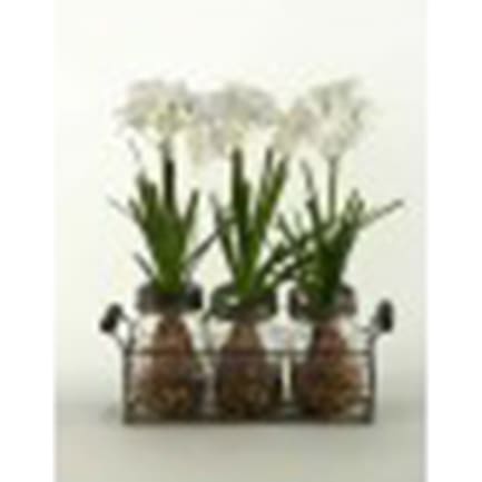 White Flowers in 3 Glass Jars in Metal Holder 12"W x 14"H