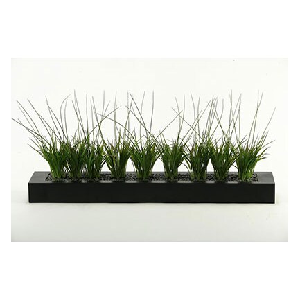 Grasses in Tray 36"W x 16"H