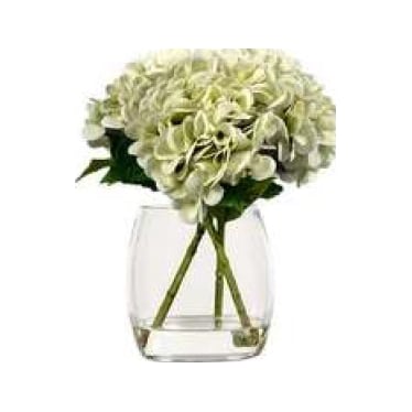 Green Hydrangeas Waterlook In Glass Vase 11"W x 14"H