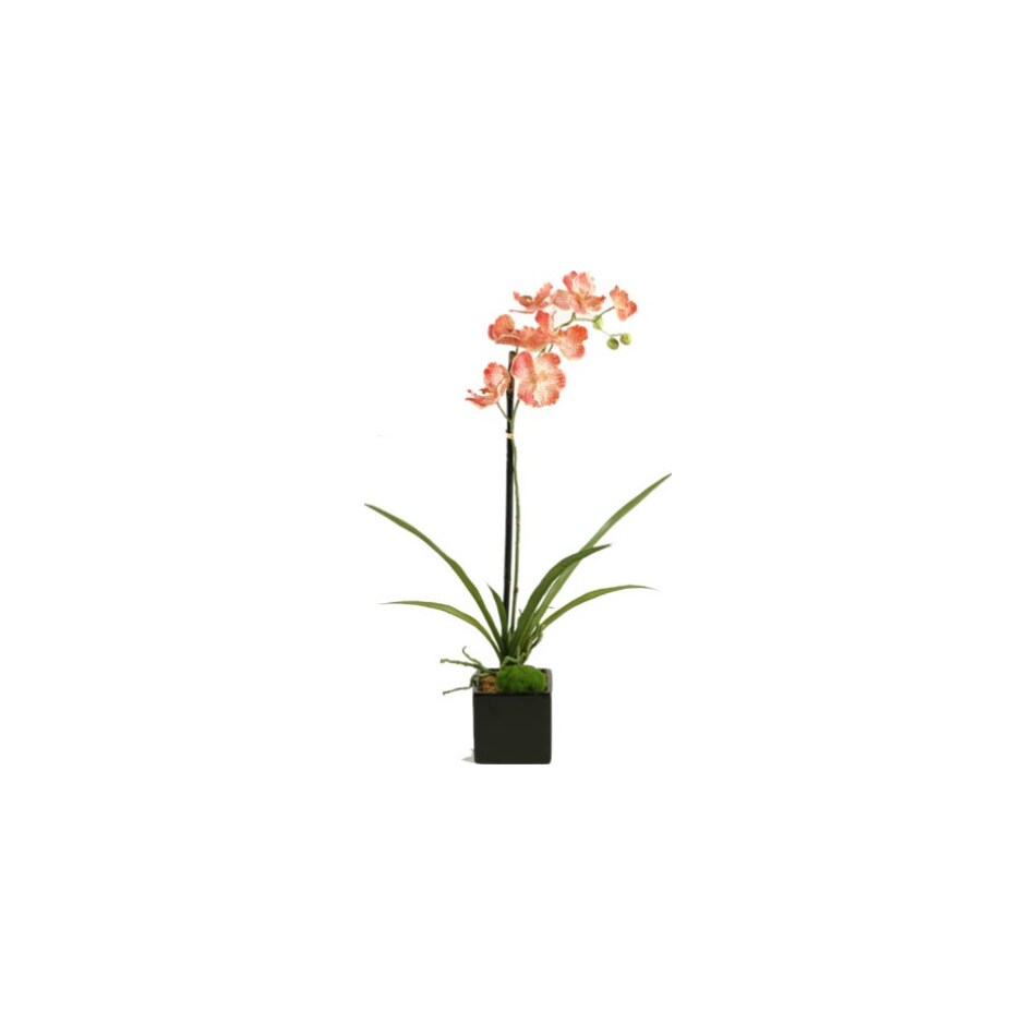 dwsk green floral   