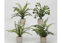 dwsk green plants   