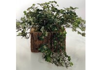 dwsk green plants   