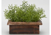dwsk green plants   