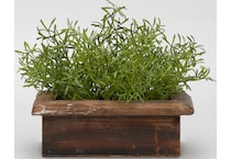 dwsk green plants   