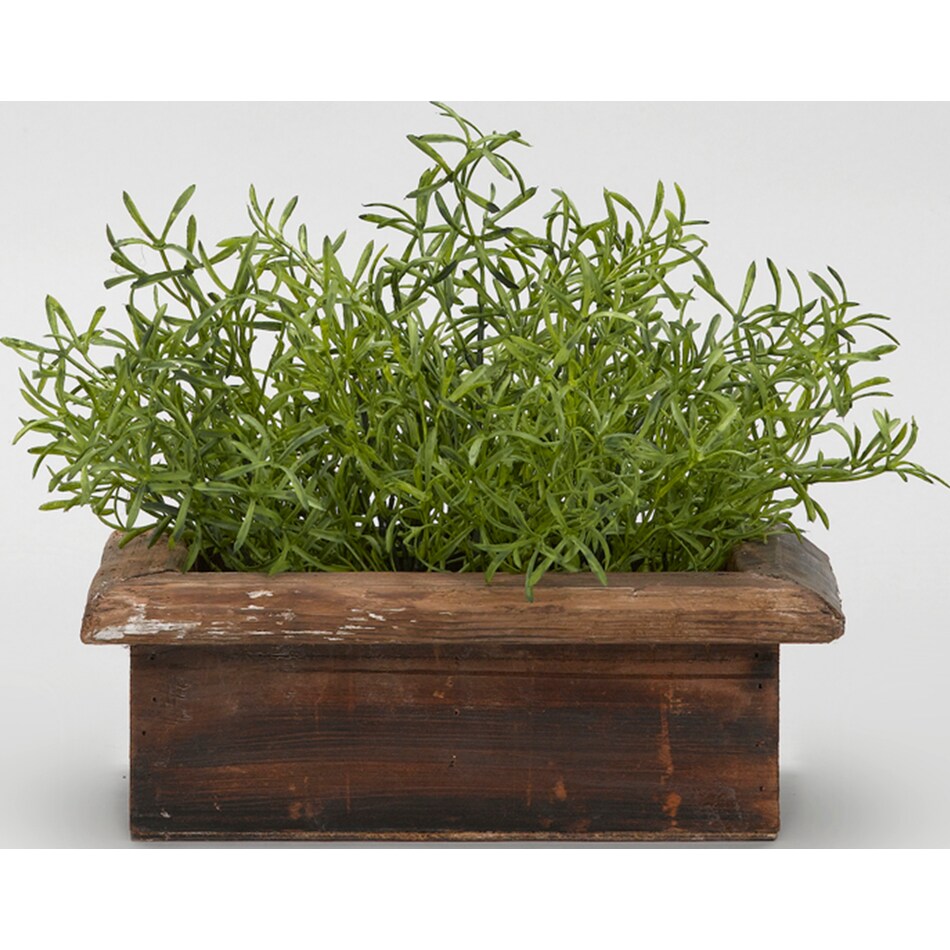 dwsk green plants   