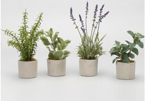 dwsk green plants   