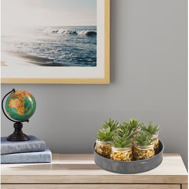 Mini Aloe Plants in Glass Jars on Metal Tray 8"W x 4.5"H