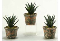 dwsk green plants   