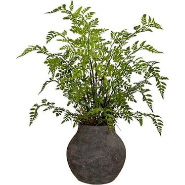 Fern In Jar 20"W x 28"H