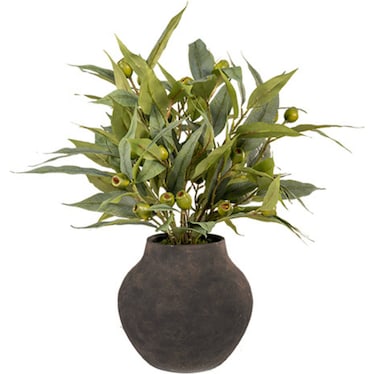 Eucalyptus In Jar 19"W x 24"H