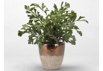 dwsk green plants   
