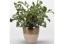 dwsk green plants   