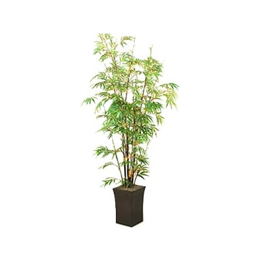 Bamboo Tree 7'H