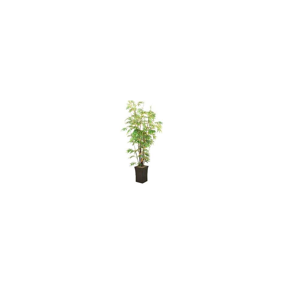 dwsk green trees   