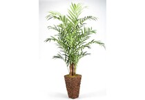 dwsk green trees   