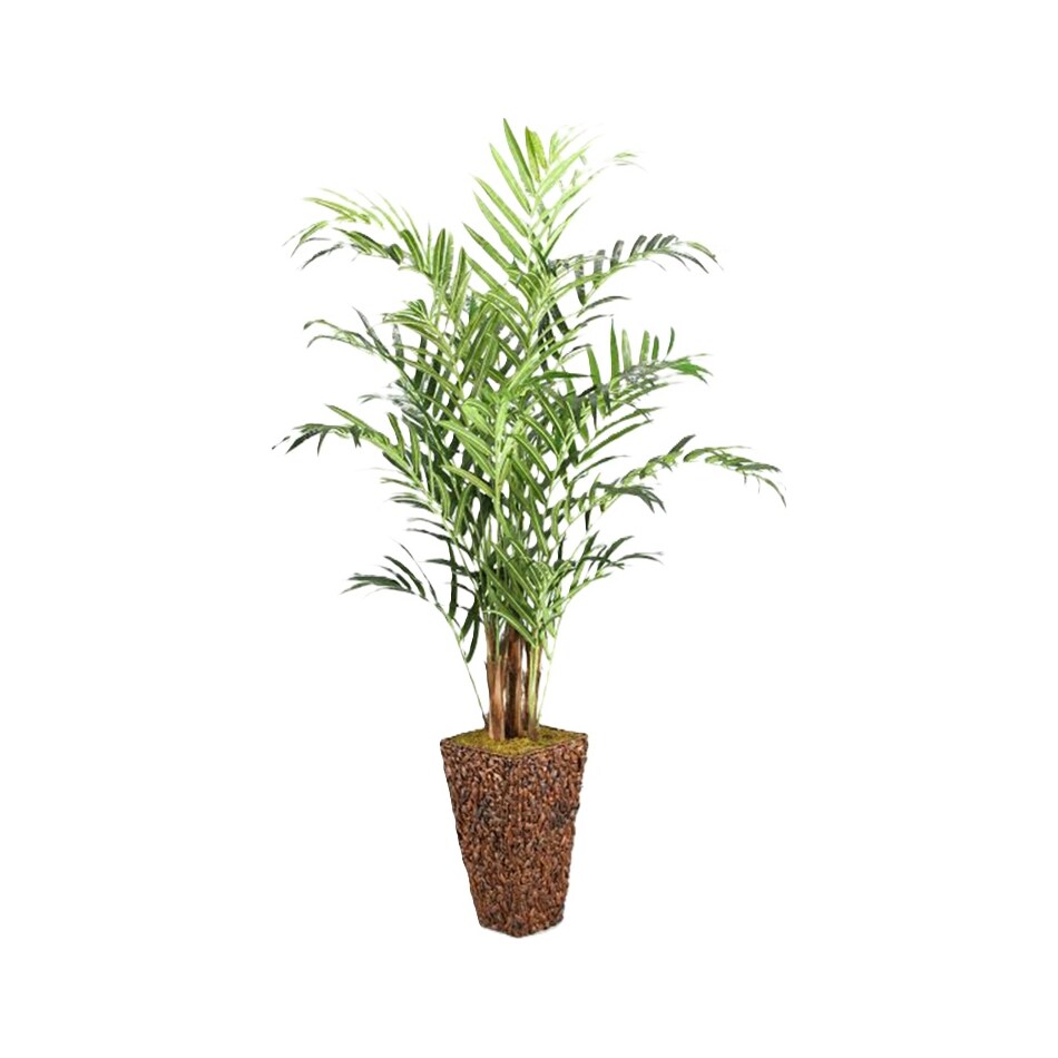 dwsk green trees   