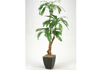 dwsk green trees   