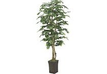 dwsk green trees   