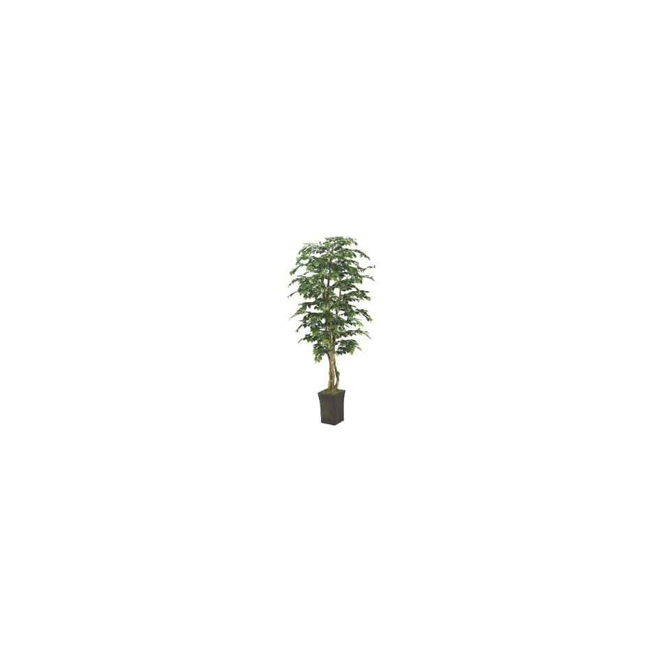 dwsk green trees   