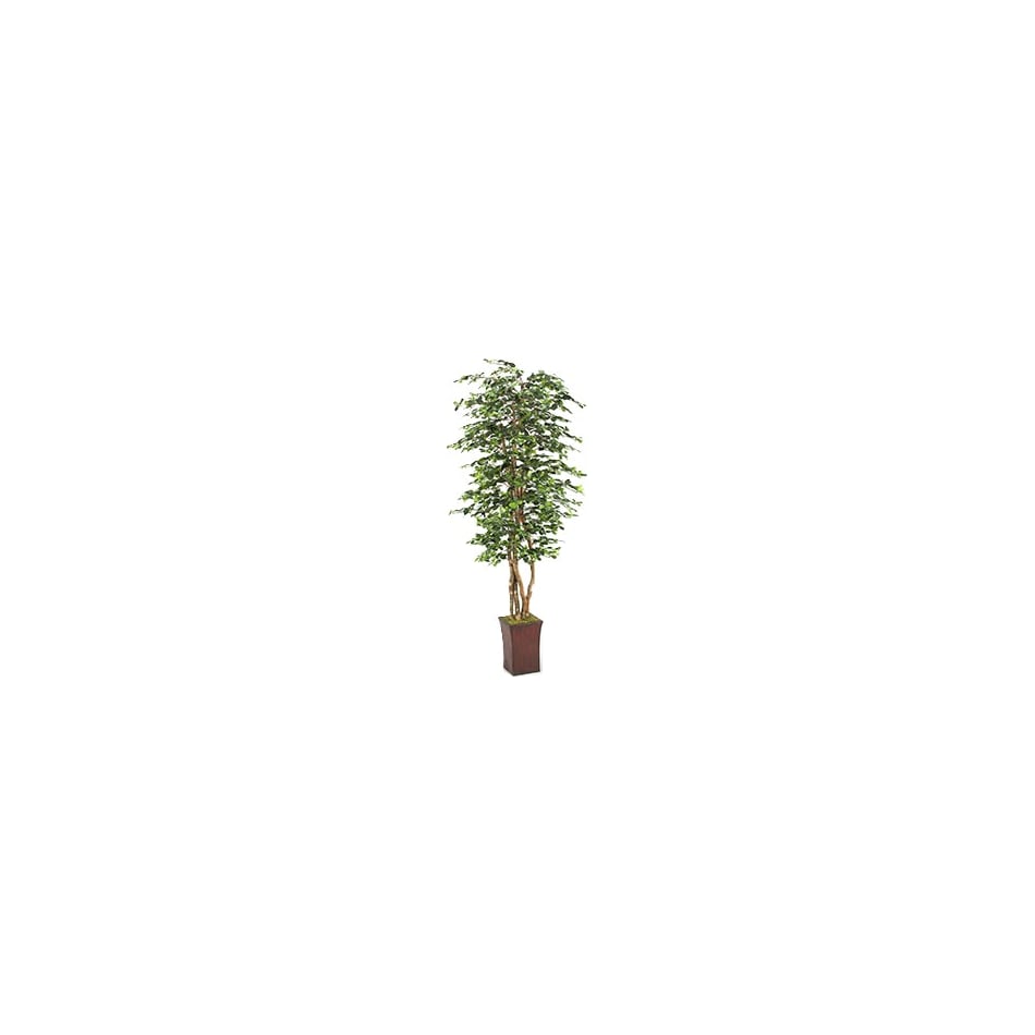 dwsk green trees   