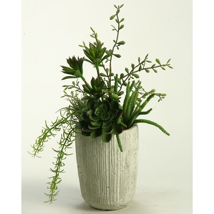 Mini Succulent In Cement Pot 14"W x 15"H