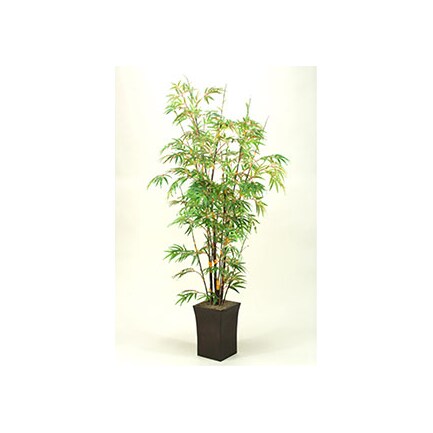 Bamboo Tree 7'H
