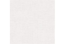 echo ash swatch  