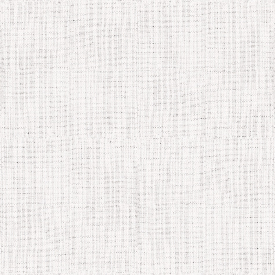 echo ash swatch  