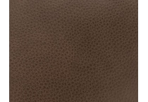 floretine   cortado swatch  