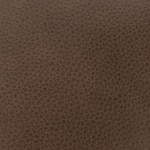 floretine   cortado swatch  