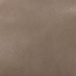 floretine   desert swatch  