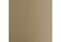 gold swatch  