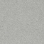 grey swatch  
