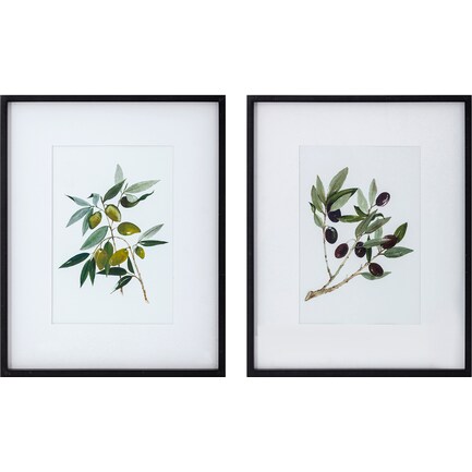 Assorted Olive Branch Framed Art Each 19"W x 24"H