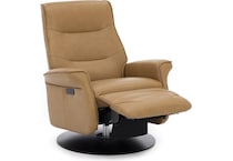 imgn brown recliner   