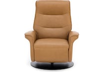 imgn brown recliner   