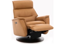 imgn brown recliner z  