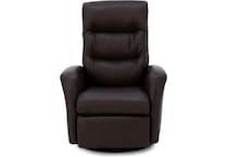 imgn brown recliner   