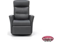 imgn grey recliner  image   