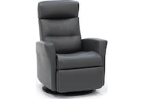 imgn grey recliner   