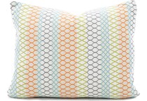 jonathan louis orange pillows   